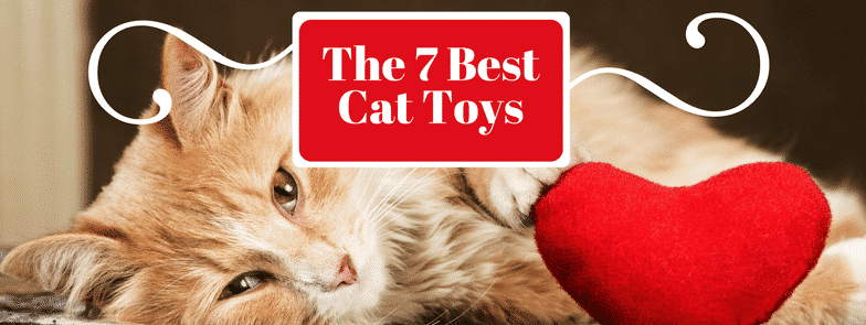 The 7 Best Cat Toys